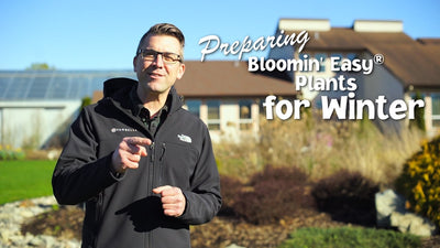 How to Prepare your Bloomin Easy® Plants for Winter